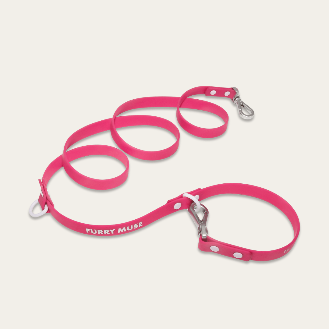 Wander! Multiway Waterproof Leash Petunia - FURRY MUSE WAN - LEA - OS - MA