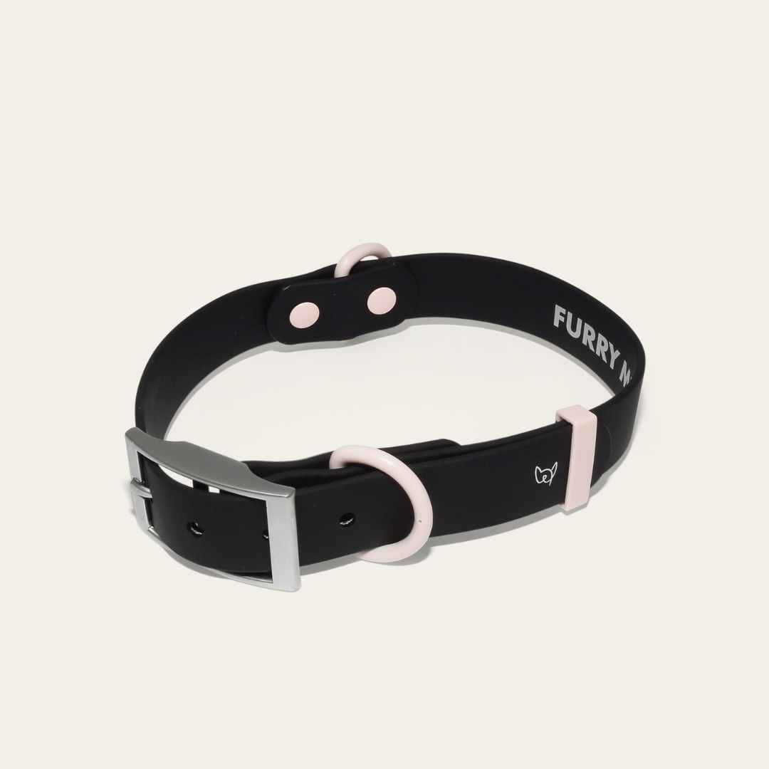 Wander! Waterproof Collar Ballerina - FURRY MUSE WAN - COL - S - BK
