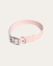 Wander! Waterproof Collar Blossom - FURRY MUSE WAN - COL - S - PN