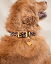 Wander! Waterproof Collar Leopard - FURRY MUSE WAN - COL - S - LEO