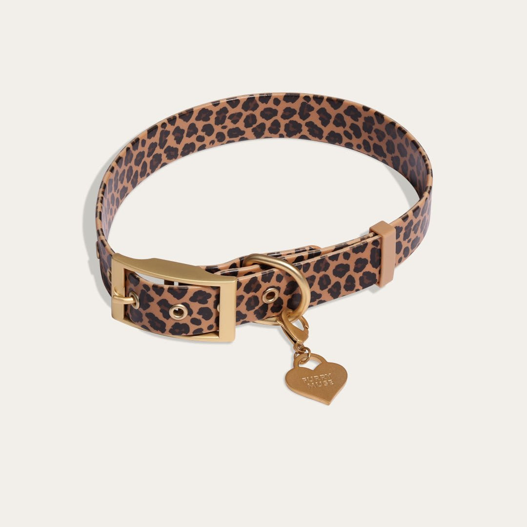 Wander! Waterproof Collar Leopard - FURRY MUSE WAN - COL - S - LEO