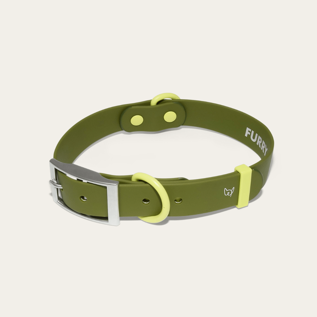 Wander! Waterproof Collar Martini - FURRY MUSE WAN - COL - S - OL