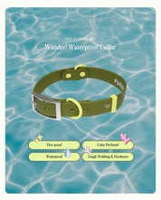 Wander! Waterproof Collar - Martini - FURRY MUSE WAN-COL-S-OL