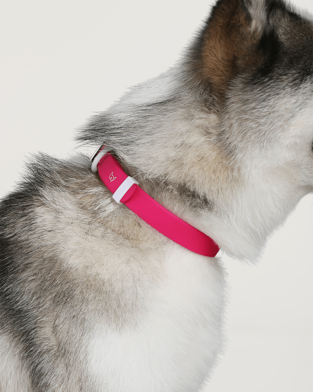 Wander! Waterproof Collar Petunia - FURRY MUSE WAN - COL - S - MA