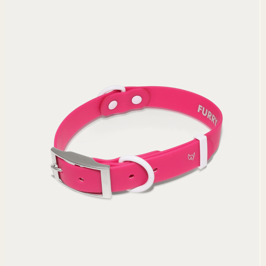 Wander! Waterproof Collar Petunia - FURRY MUSE WAN - COL - S - MA
