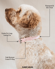 Wander! Waterproof Collar Sky - FURRY MUSE WAN - COL - S - BL