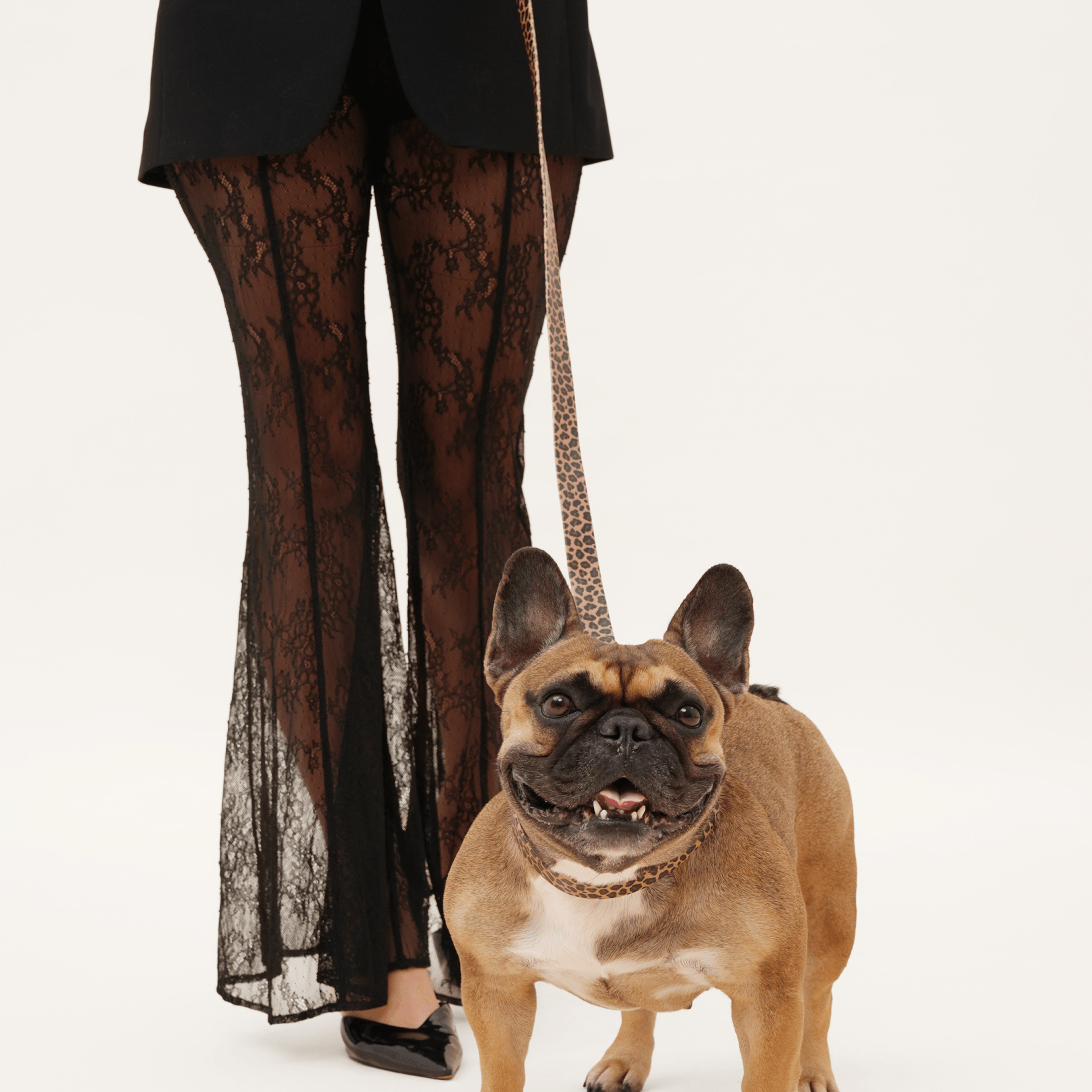 Wander! Waterproof Leopard Collar & Leash Kit - FURRY MUSE WAN - KIT - S - LEO